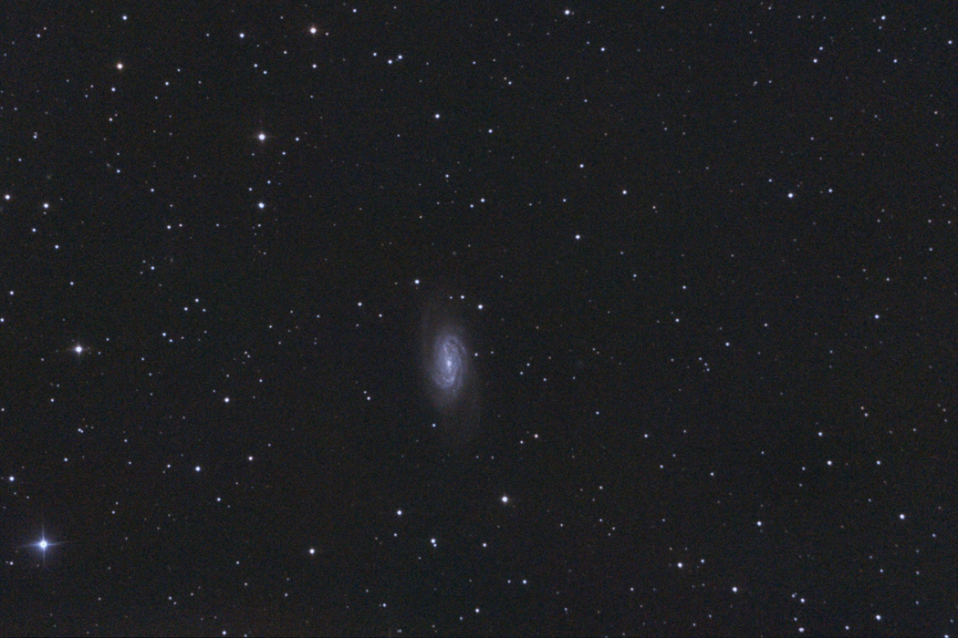 NGC 2903 Leo.jpg