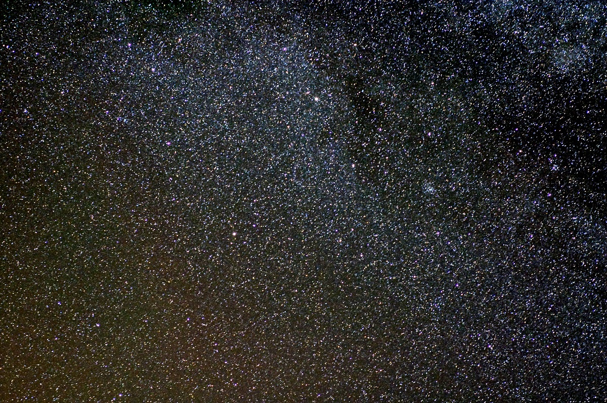 Nikon_02.jpg
