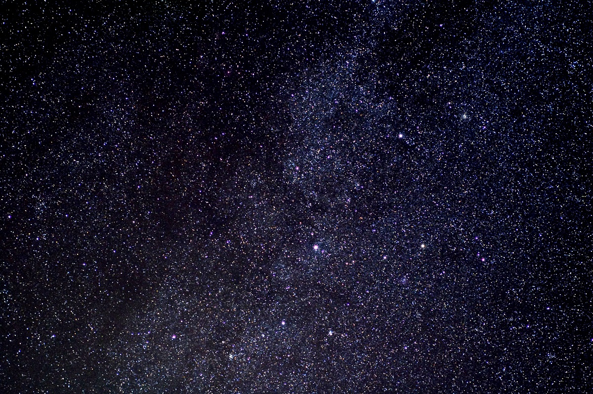 Nikon_03.jpg