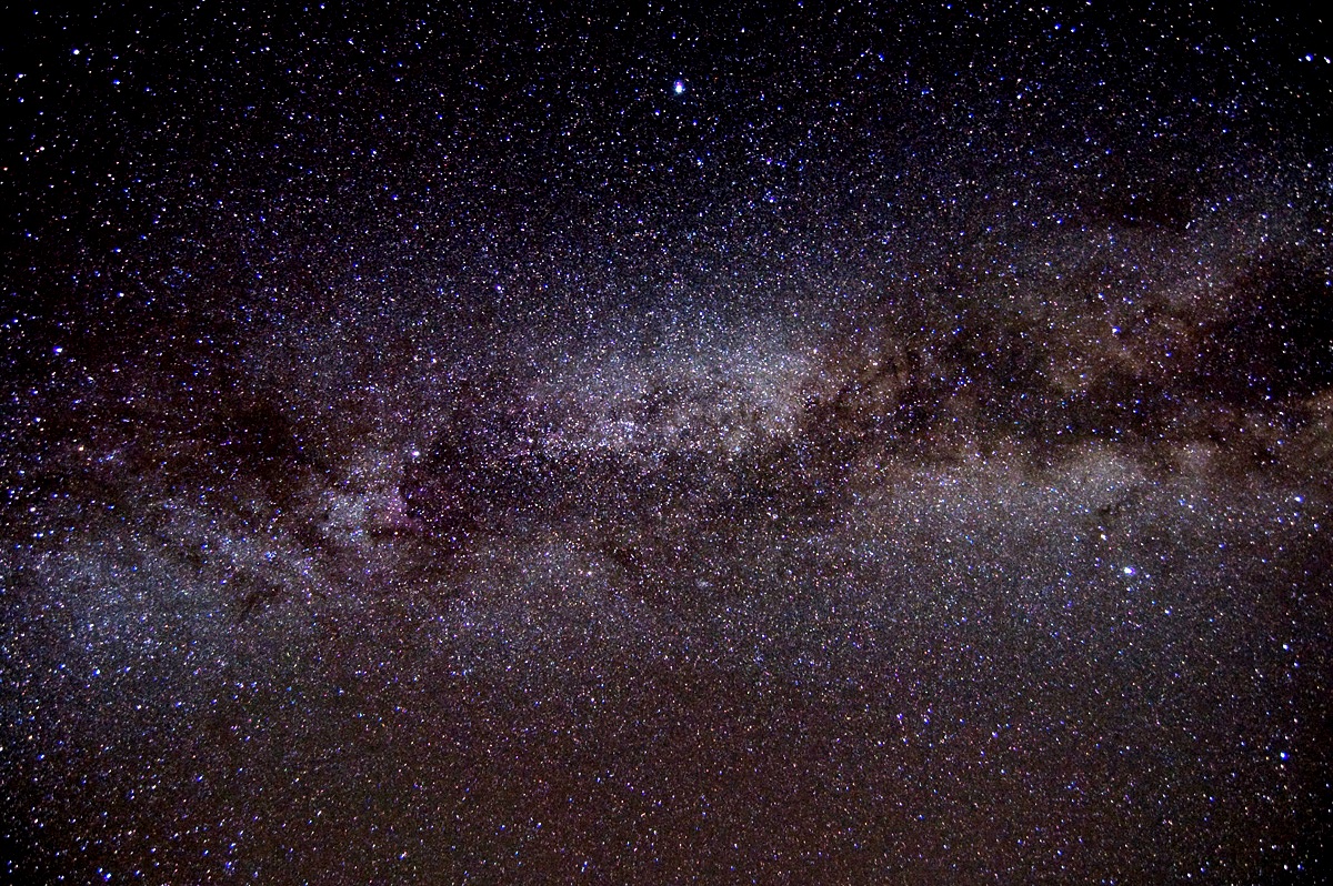 Nikon_04.jpg