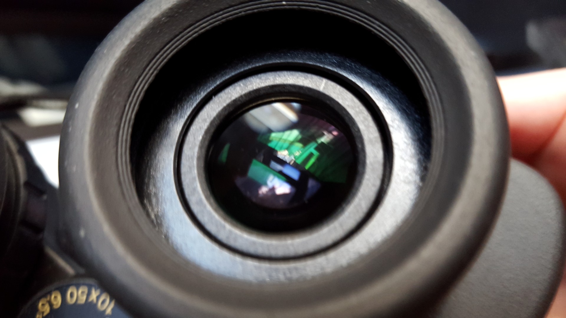 Nikon (3) (Large).jpg