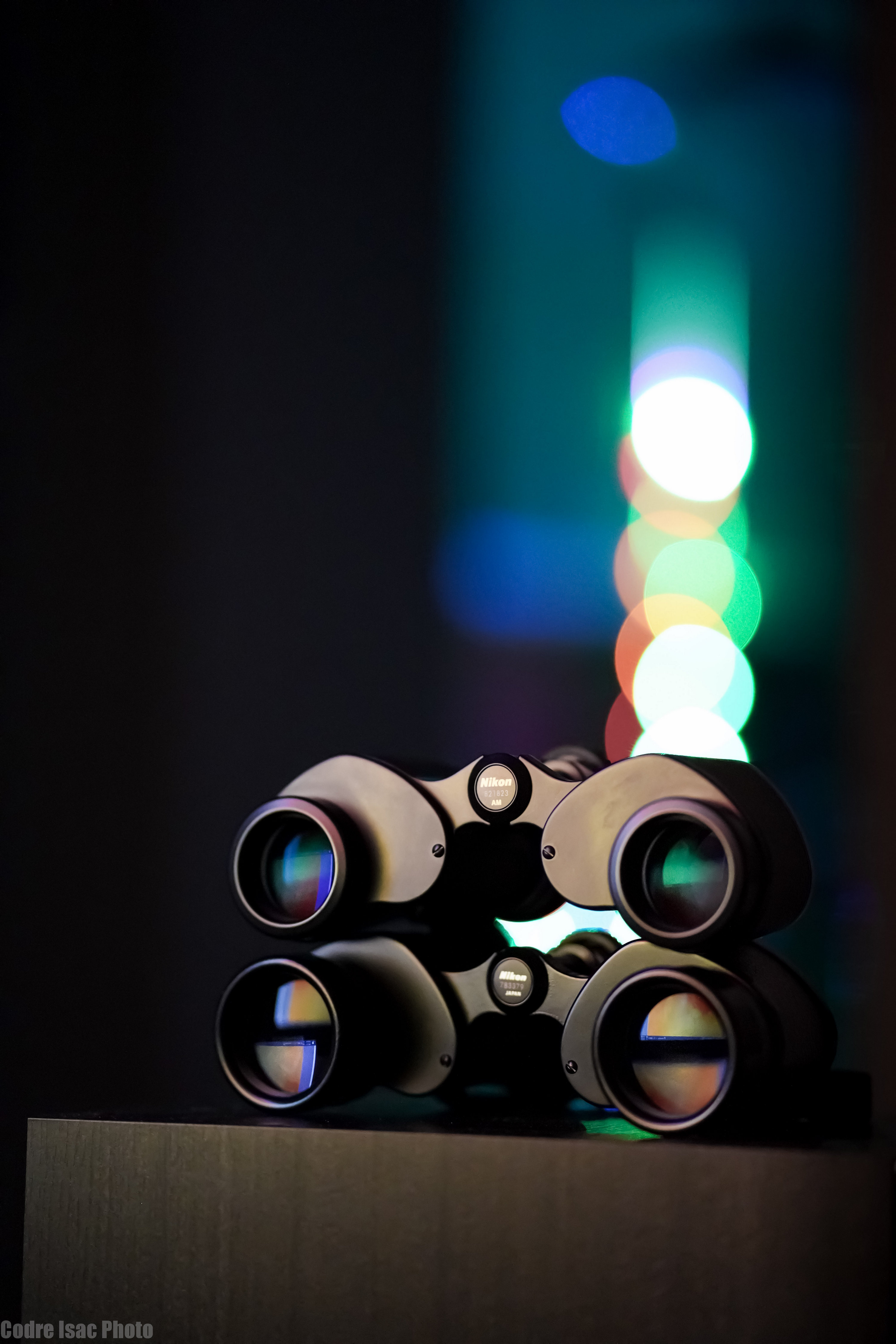 Nikon E2 vs Nikon E.jpg