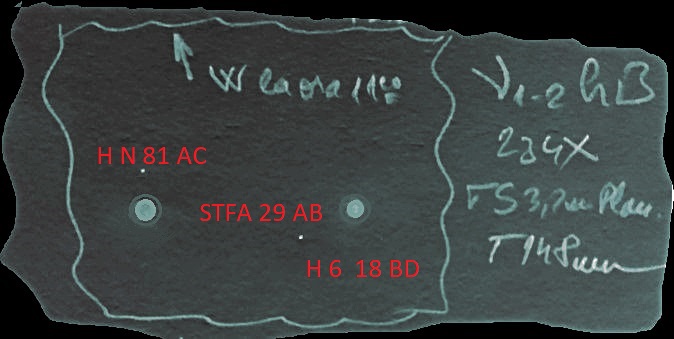 Niu 1-2 CrB.v3.jpg