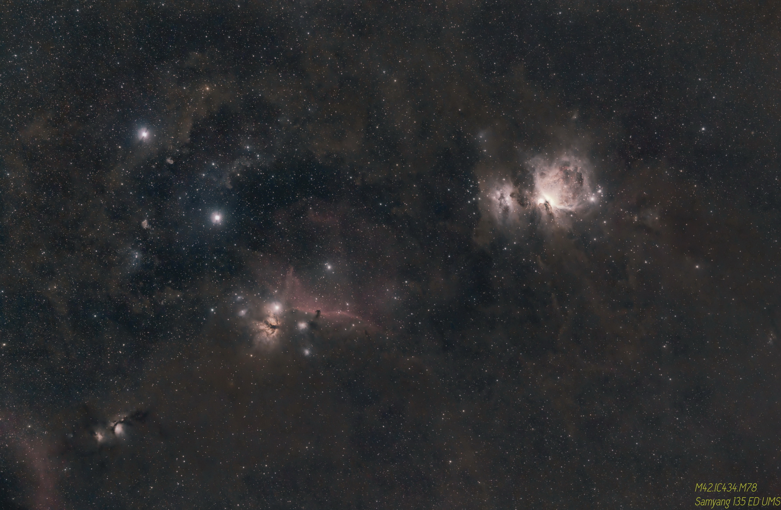 Orion_Samyang 135r.jpg