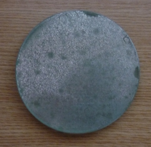 P1000238.JPG