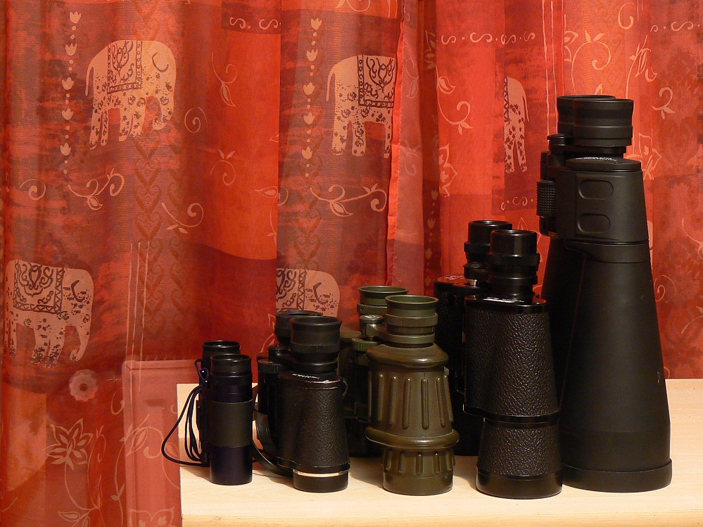 P1020654.JPG