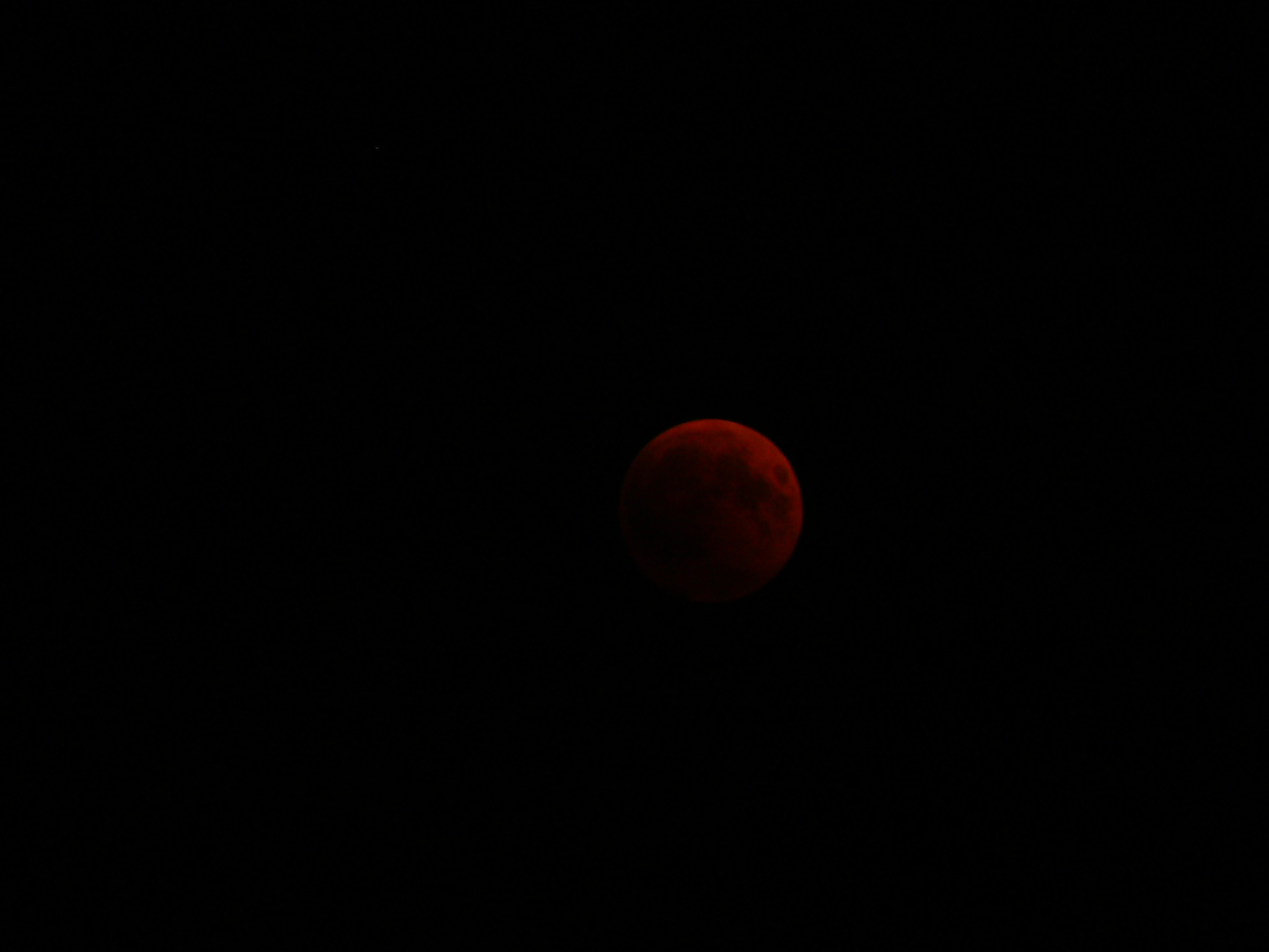 P1150290.JPG