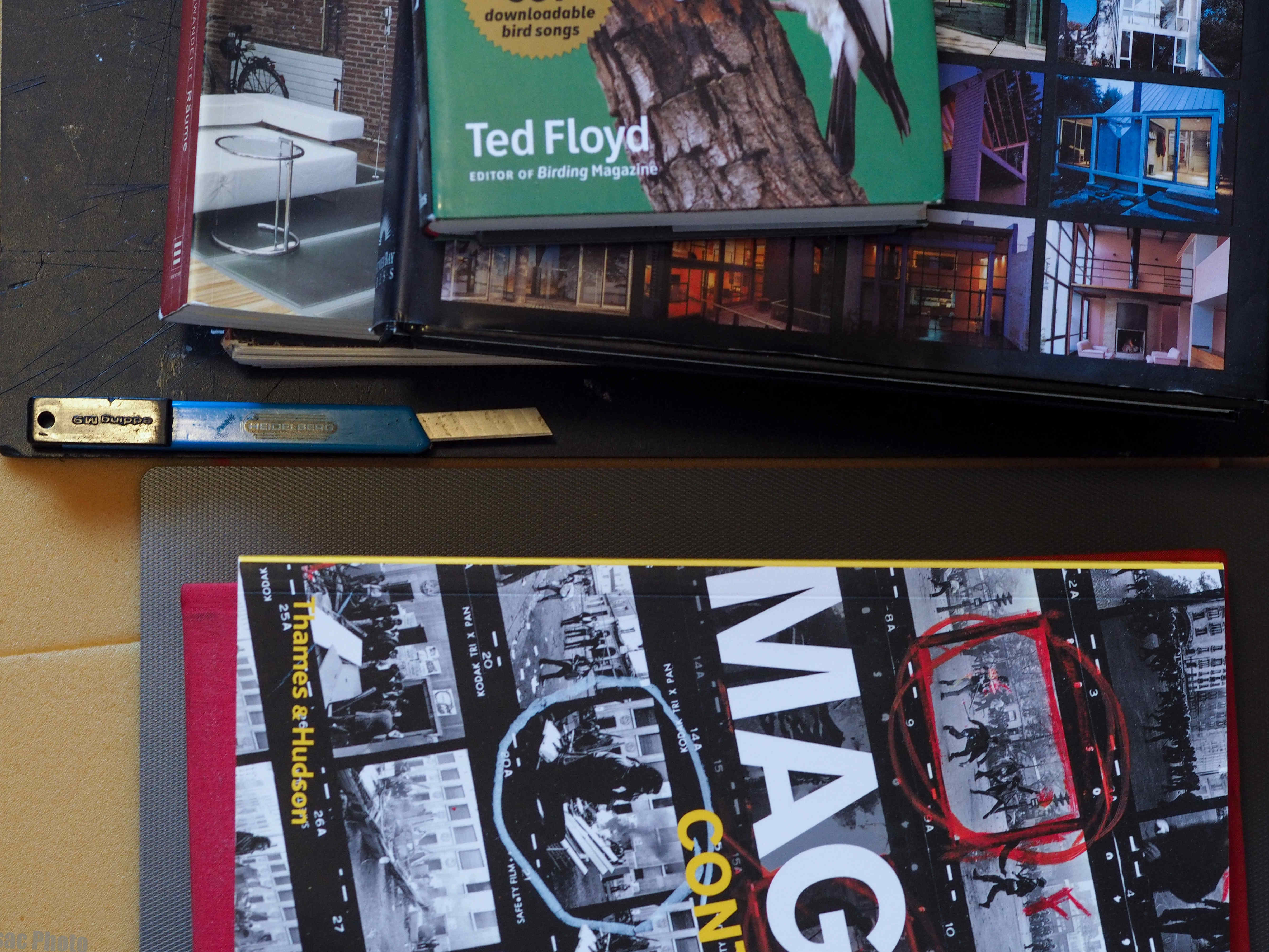 P6230859.jpg