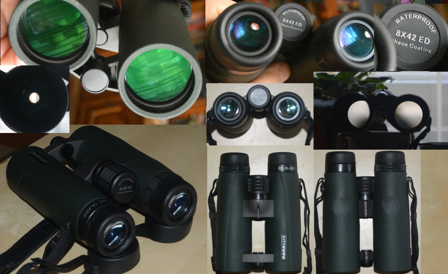 Paralux8x42mic.jpg