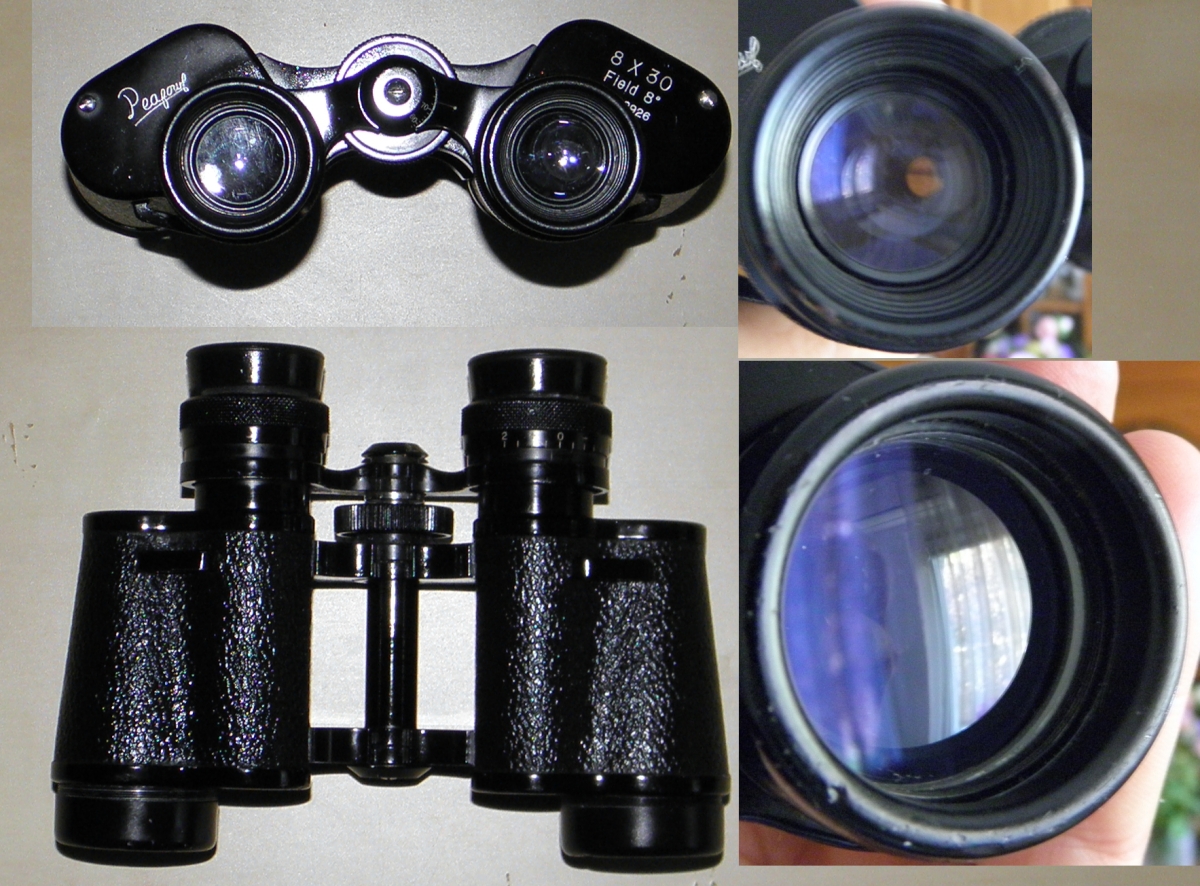 peafowl8x30mic.jpg