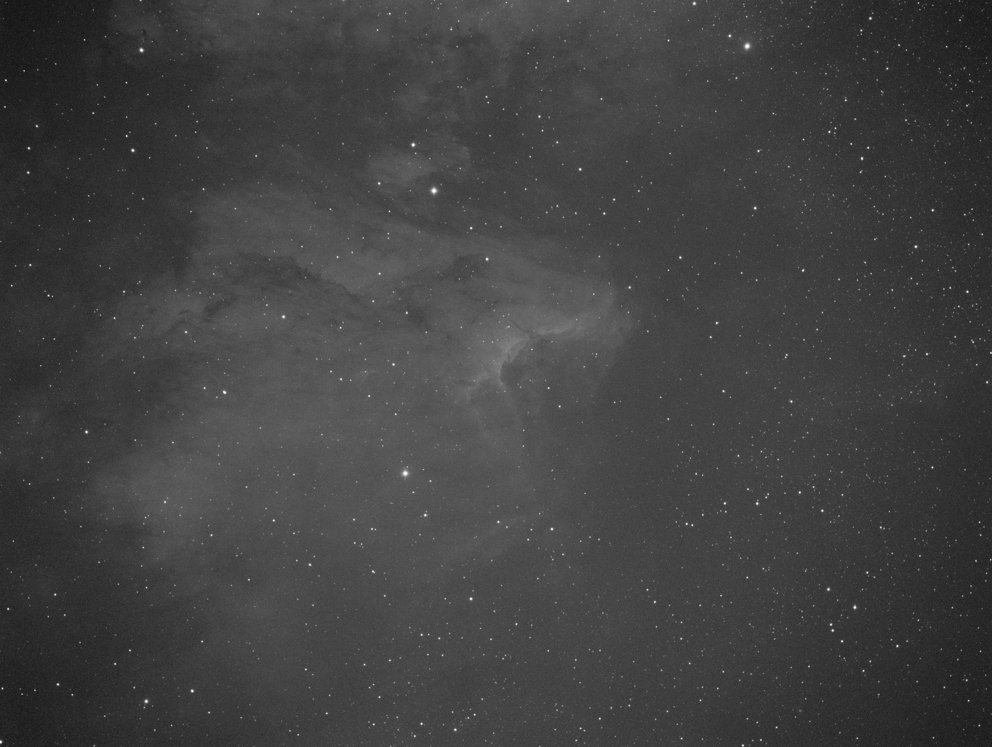 Pelican-00110.jpg