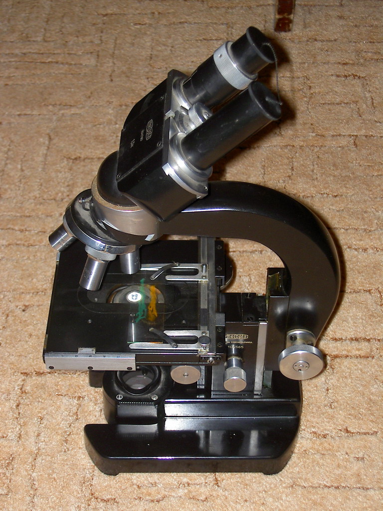 pict83641_172.jpg