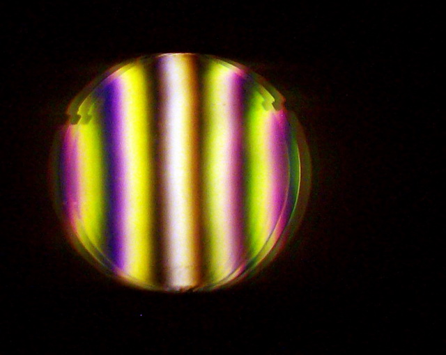 Picture 019.jpg