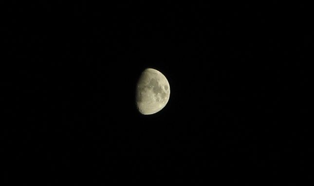 Picture 044.jpg