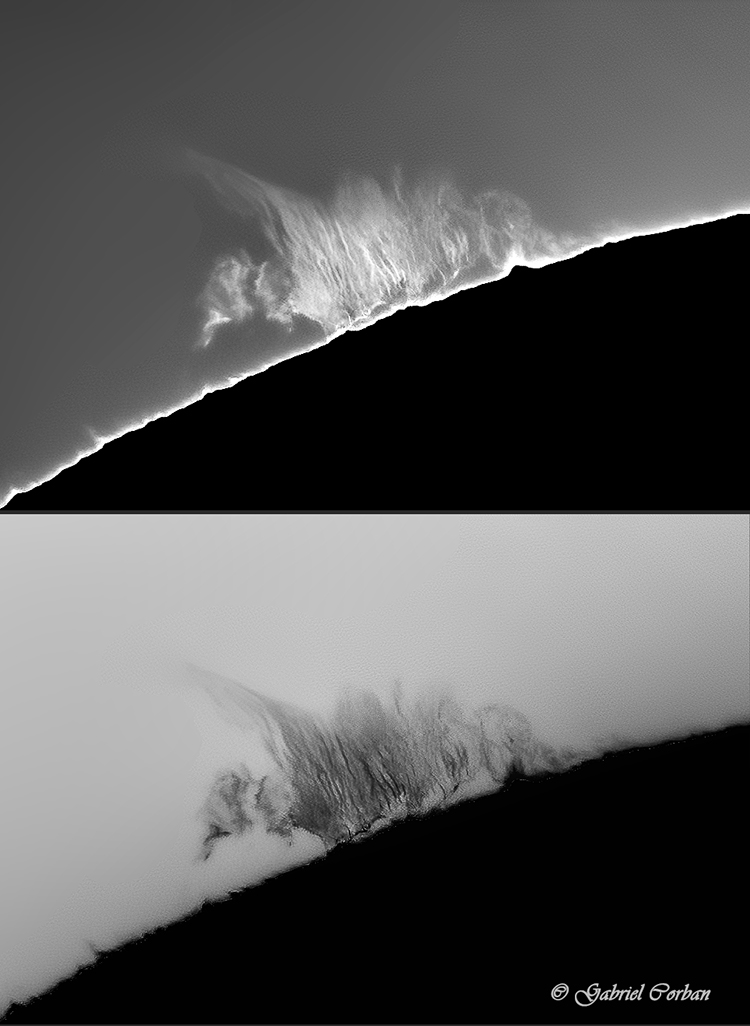 PS1 Crop composed tx 750 JPG.jpg