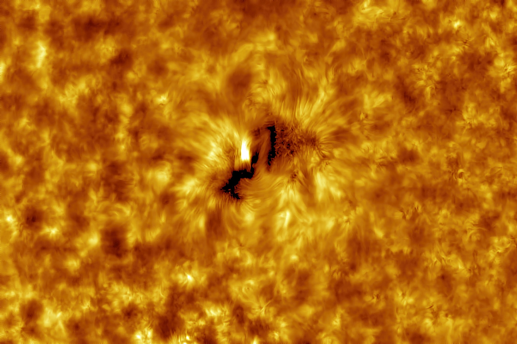 PS3 col3 JPG 450  crp   Mars_112943_050419 ---_24-AP_lapl2_ap11092.jpg