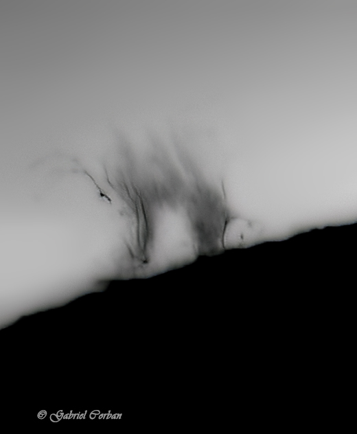 PS7 smooth CRP filled  Tx  Jpg Jup_124321_240819  --NEG _F001-490_F001-490_lapl2_ap1675-denoise.jpg