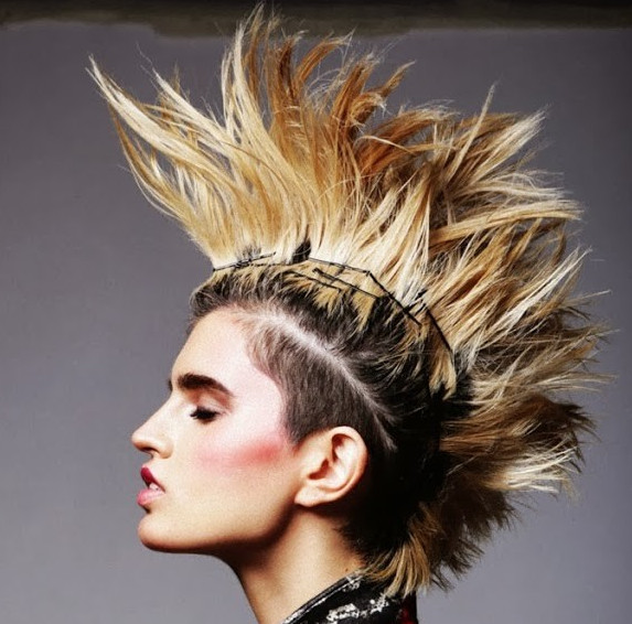 punk strehl.PNG