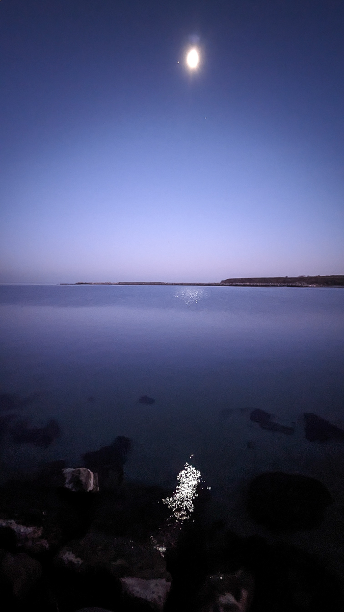 PXL_20230103_152521004.NIGHT.jpg