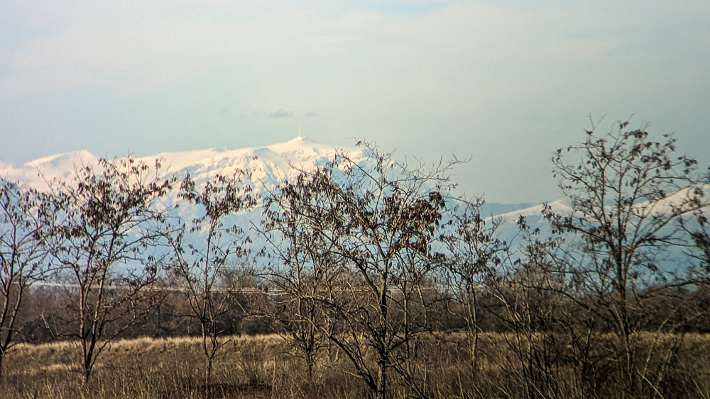 PXL_20230121_114103514.jpg