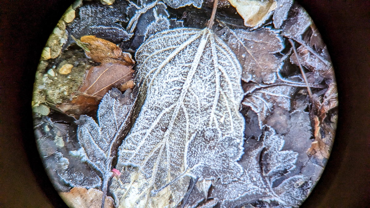 PXL_20230123_102503147.jpg