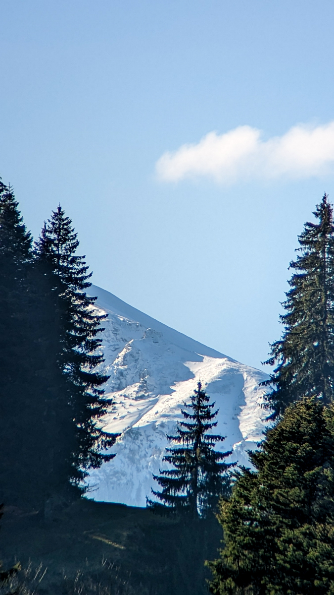 PXL_20230123_103452048.jpg