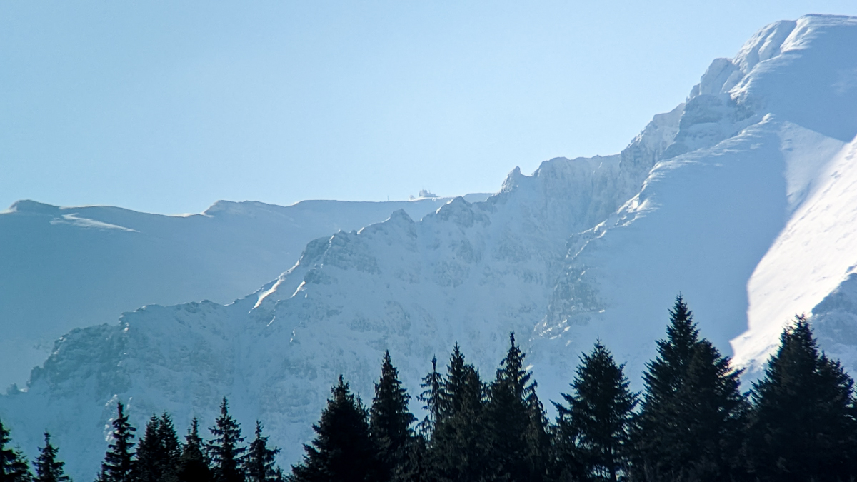 PXL_20230123_105529148.jpg