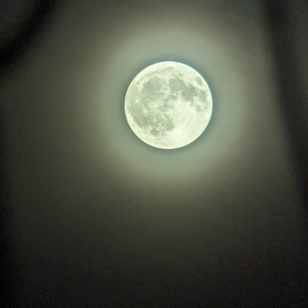 PXL_20230603_203226317.jpg