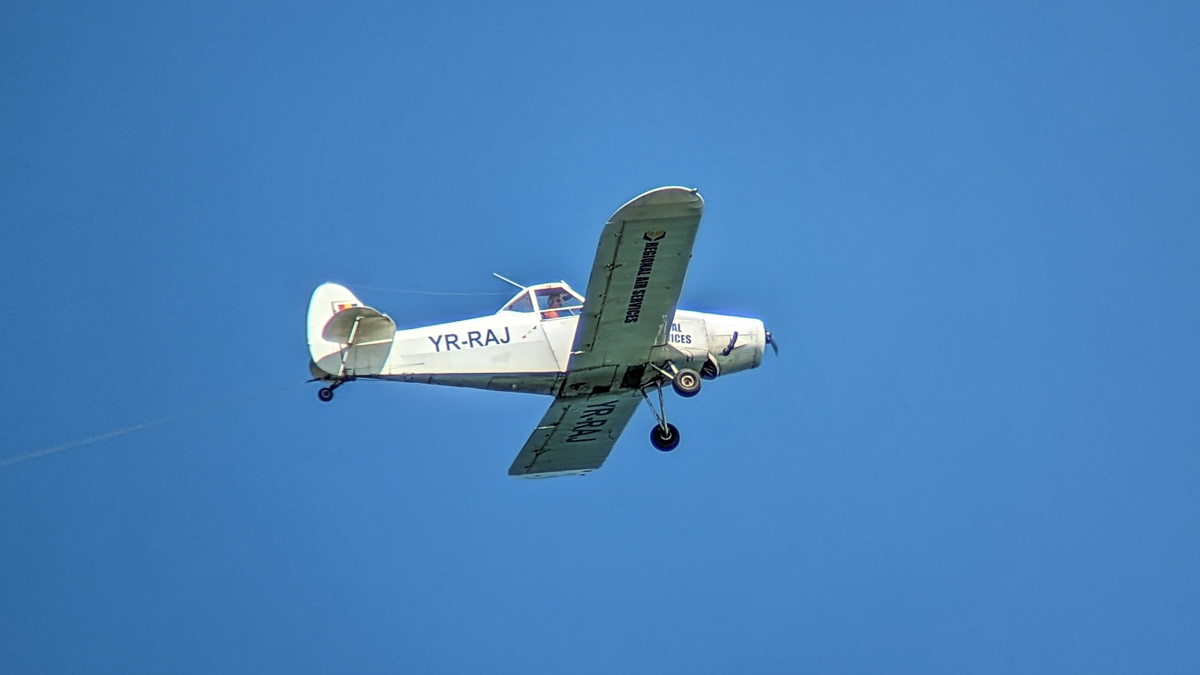 PXL_20230730_124535037.jpg