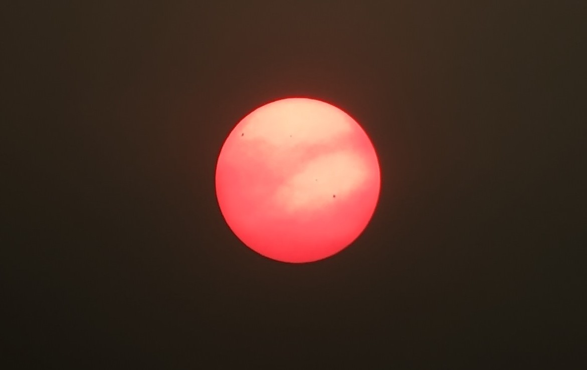PXL_20230822_155305021.jpg