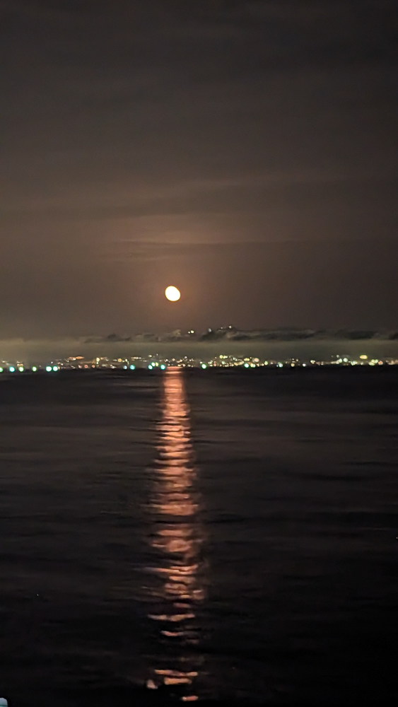 PXL_20231031_172758581.NIGHT.jpg