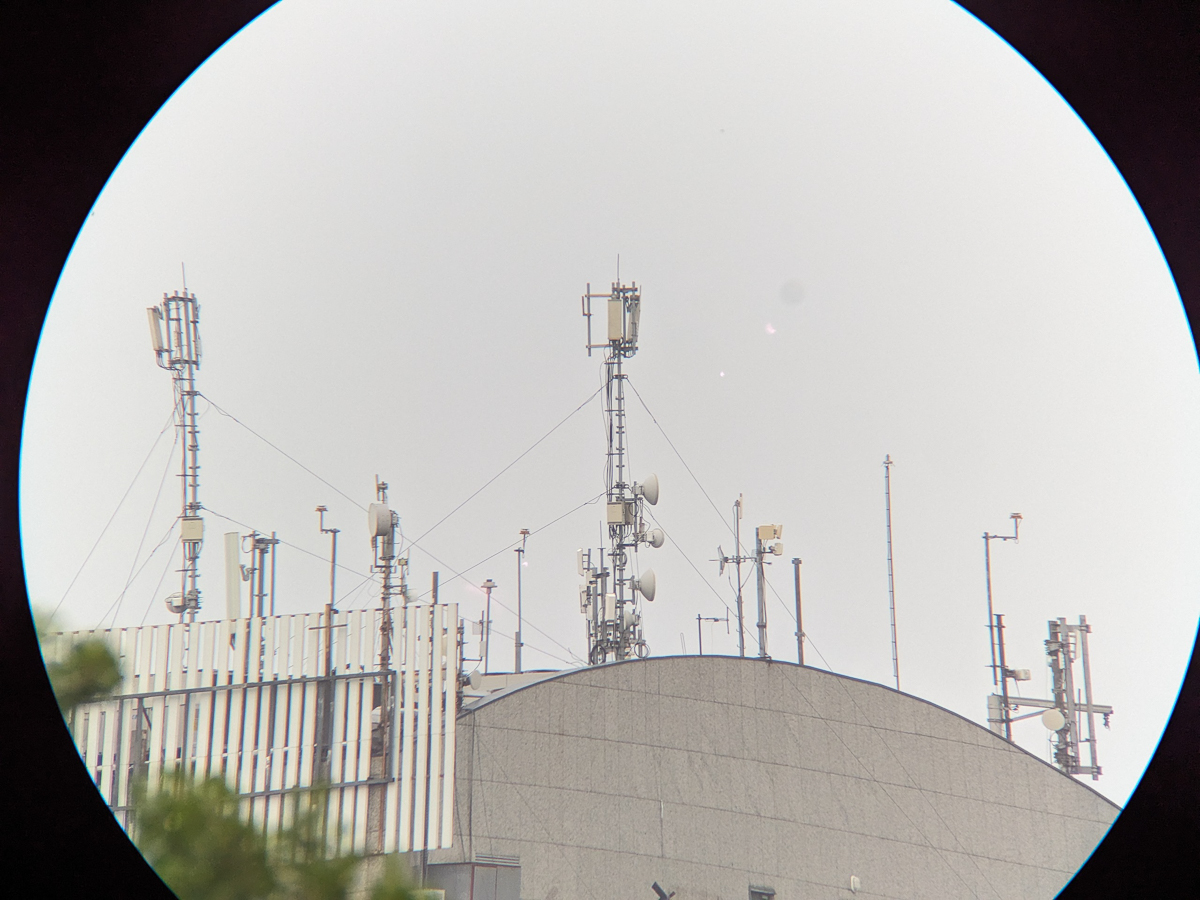 PXL_20240416_161313088.jpg
