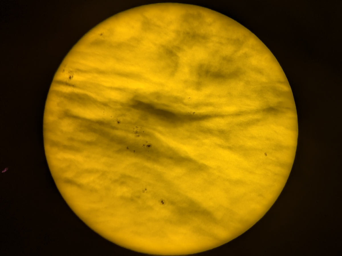 PXL_20240805_162400363.jpg