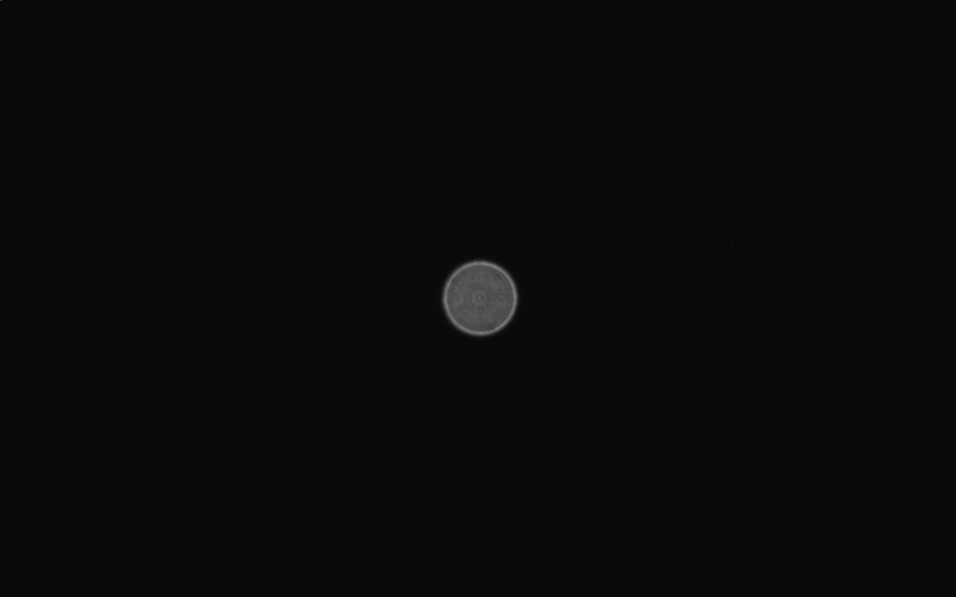 Rigel-infocus.png