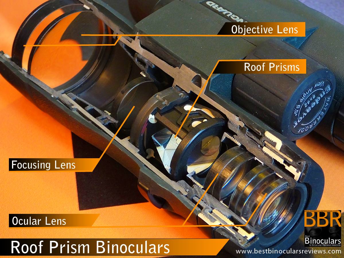 roof-prism-binocular-internal-bbr-Large.jpg