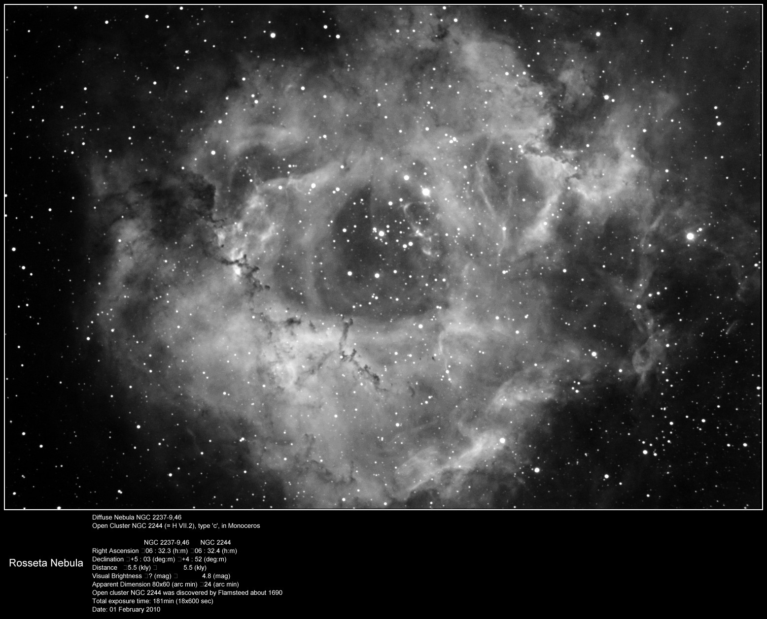 rosetta1.jpg