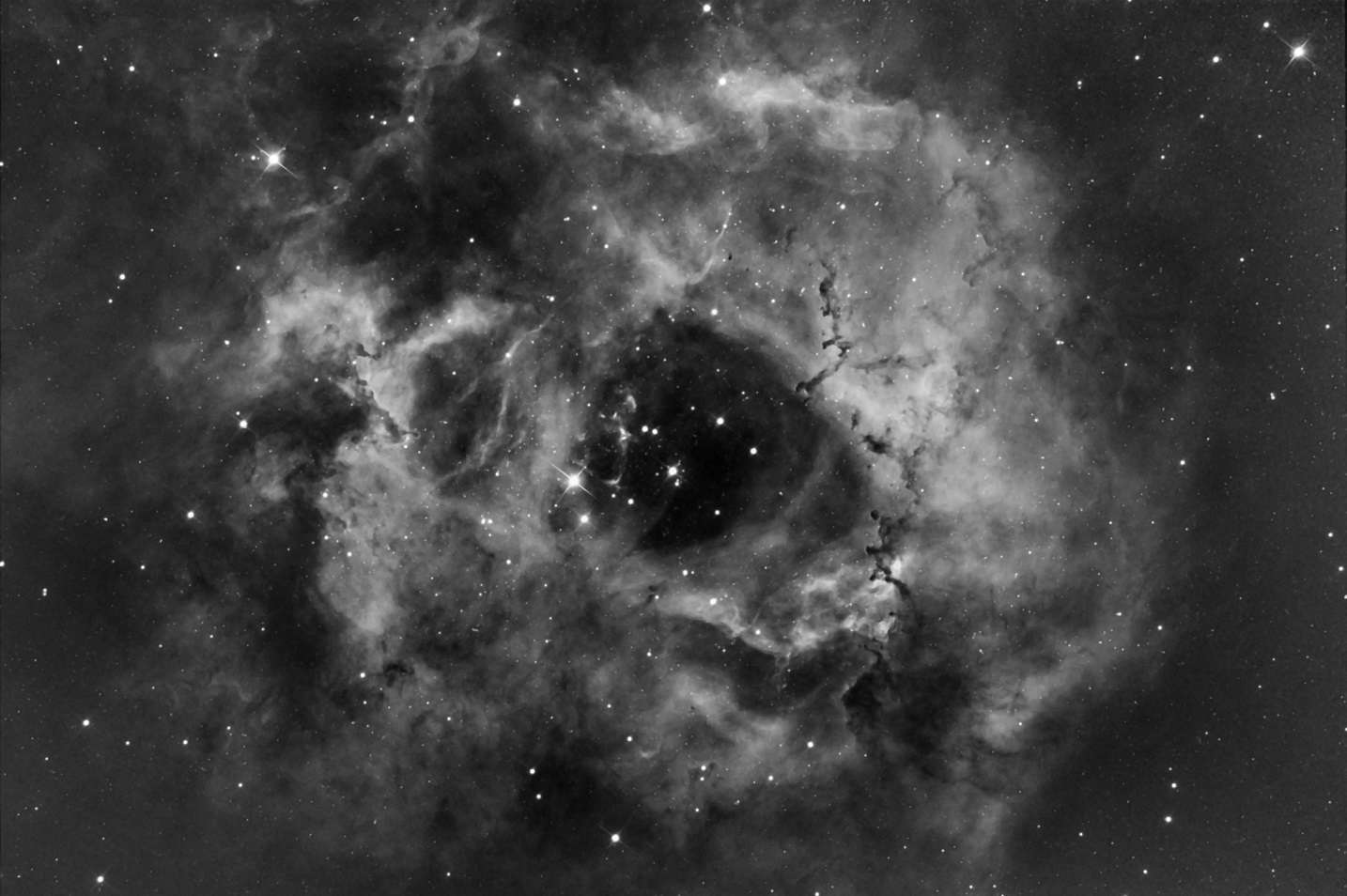 Rosette BW.jpg