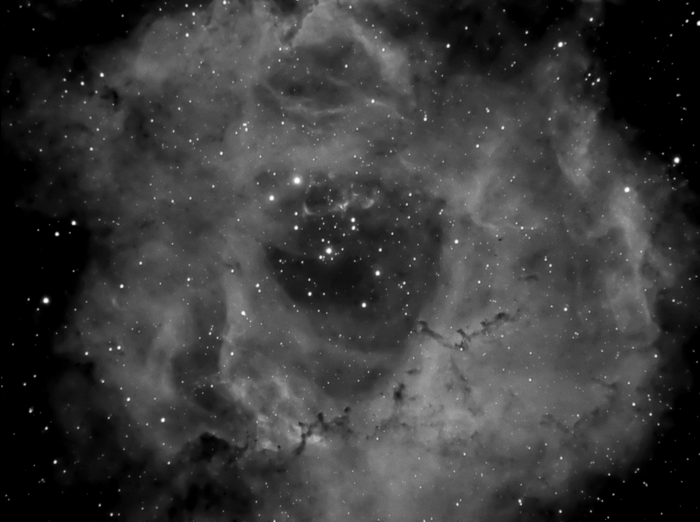 Rosette Ha 3x600_PI_STnonlin.jpg