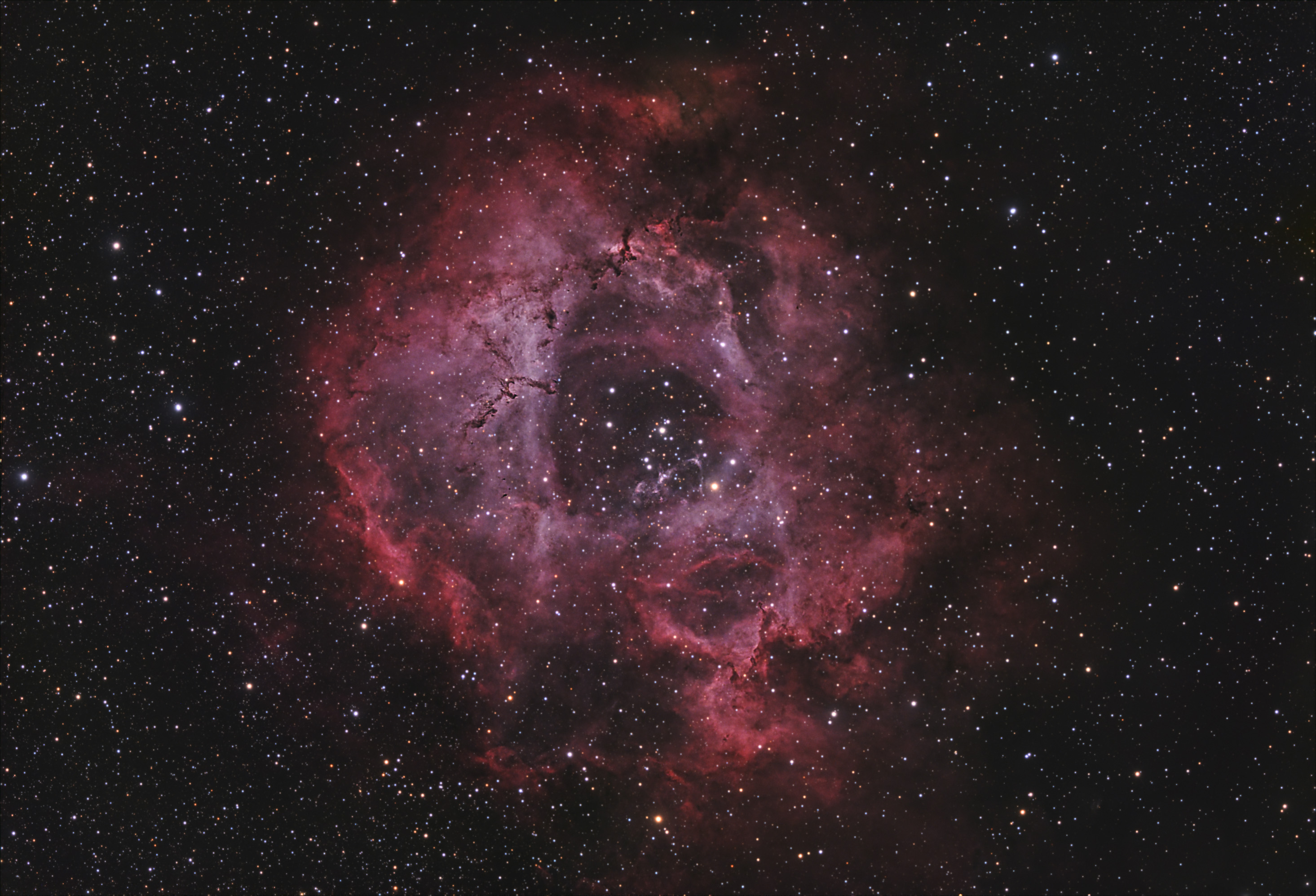 Rosette nebula_ASI294MC_repro07.jpg