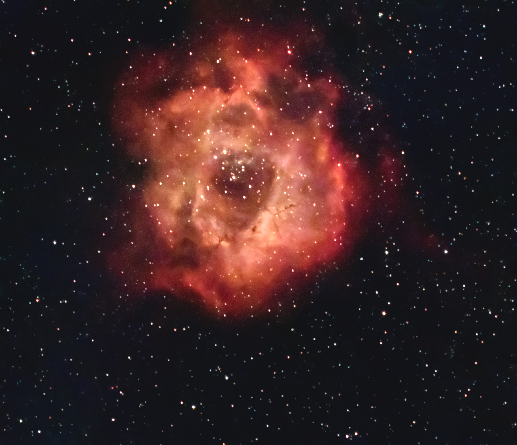 Rosette Nebula Final_astronomy.jpg