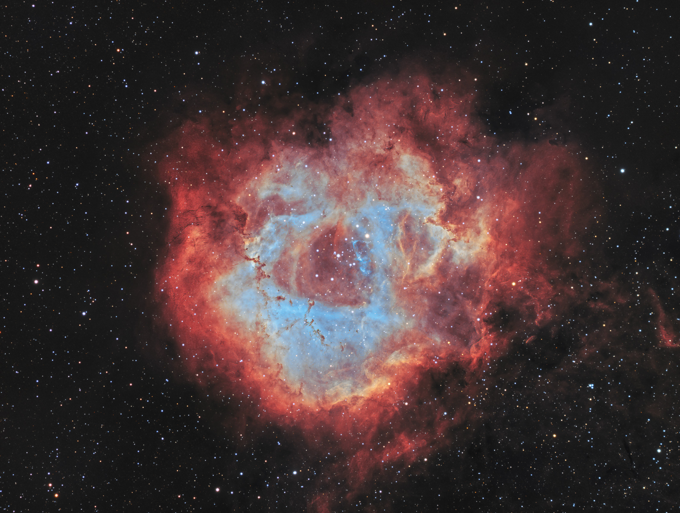 Rosette Nebula_HOO new.jpg