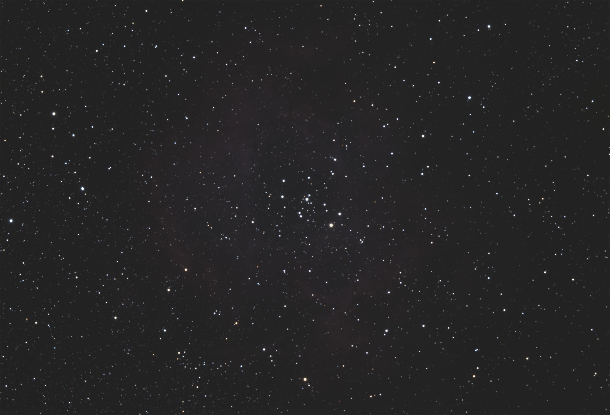 Rosette-RAW.jpg