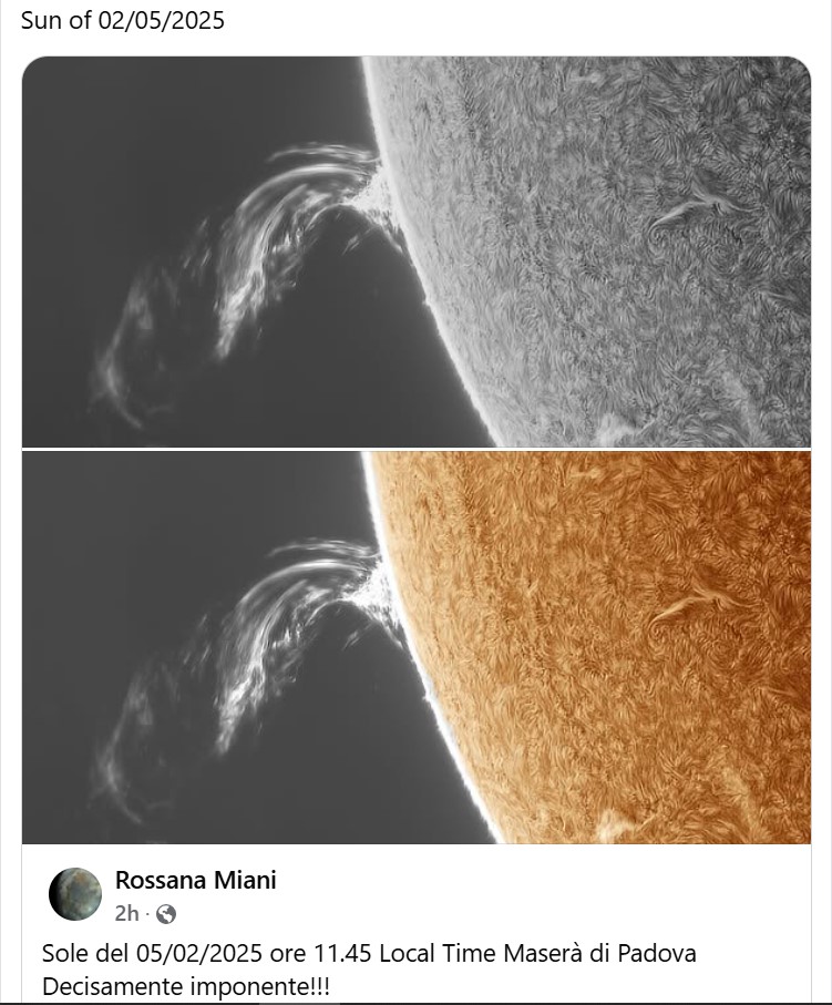Rossana Miani 5-0-.25.jpg