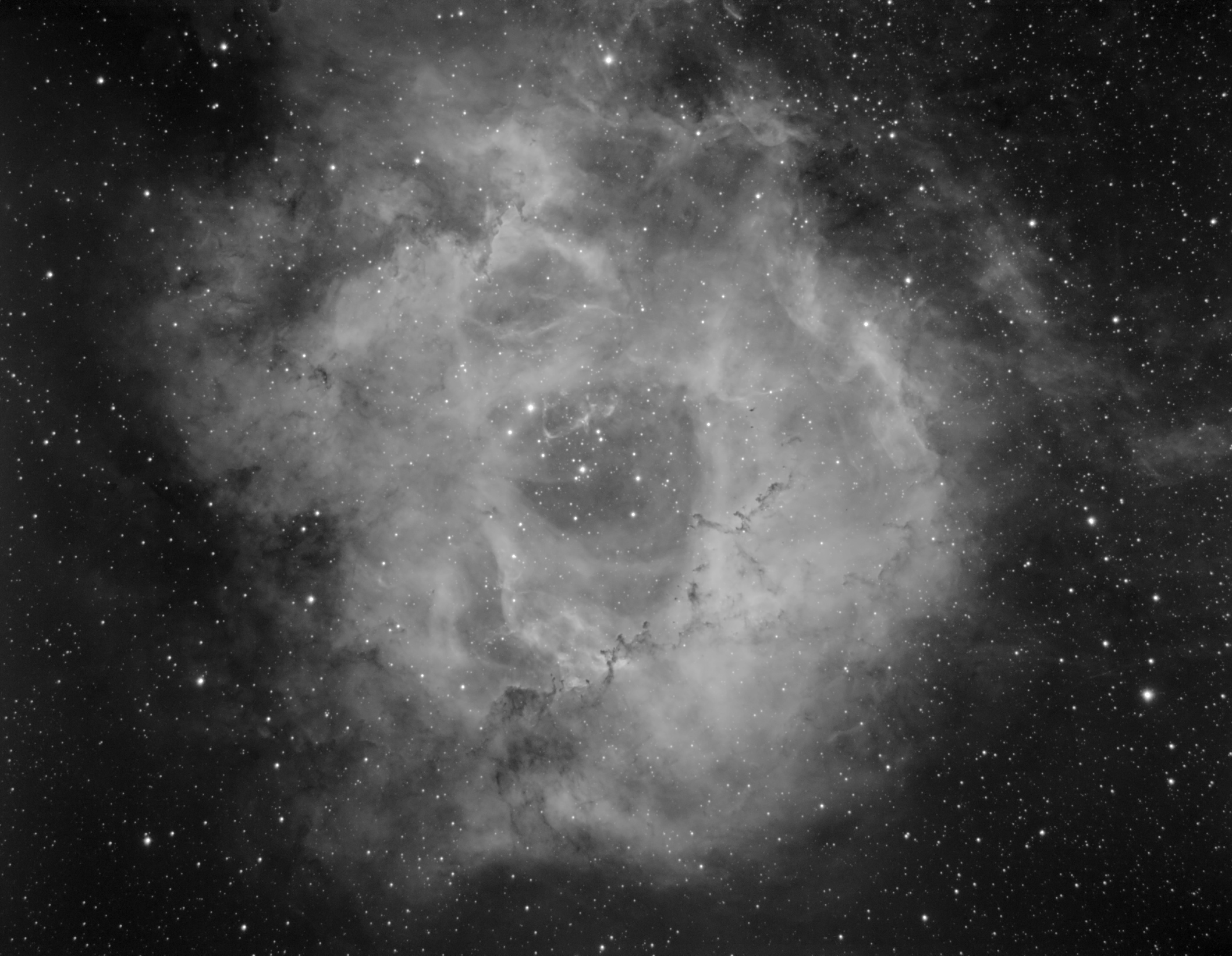 rozeta36x900.jpg