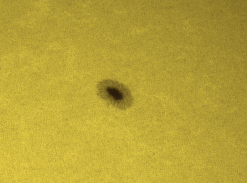 s280723fani.gif