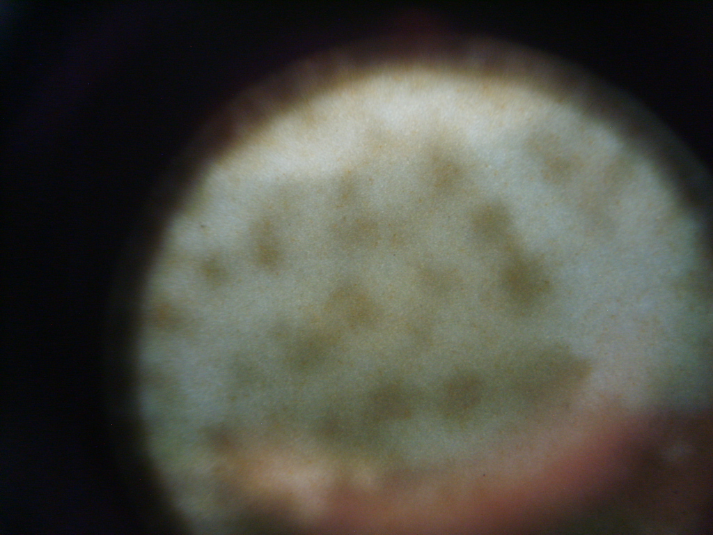 S8000512.JPG