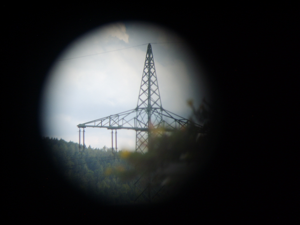S8000550.JPG