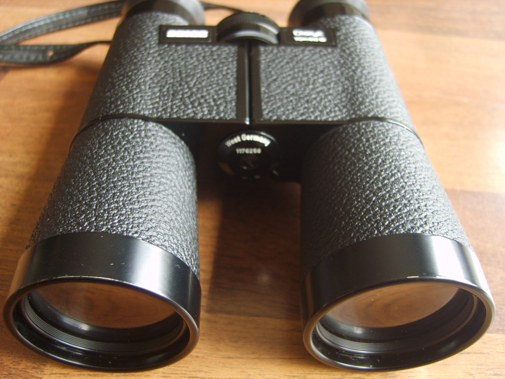 S8000555.JPG