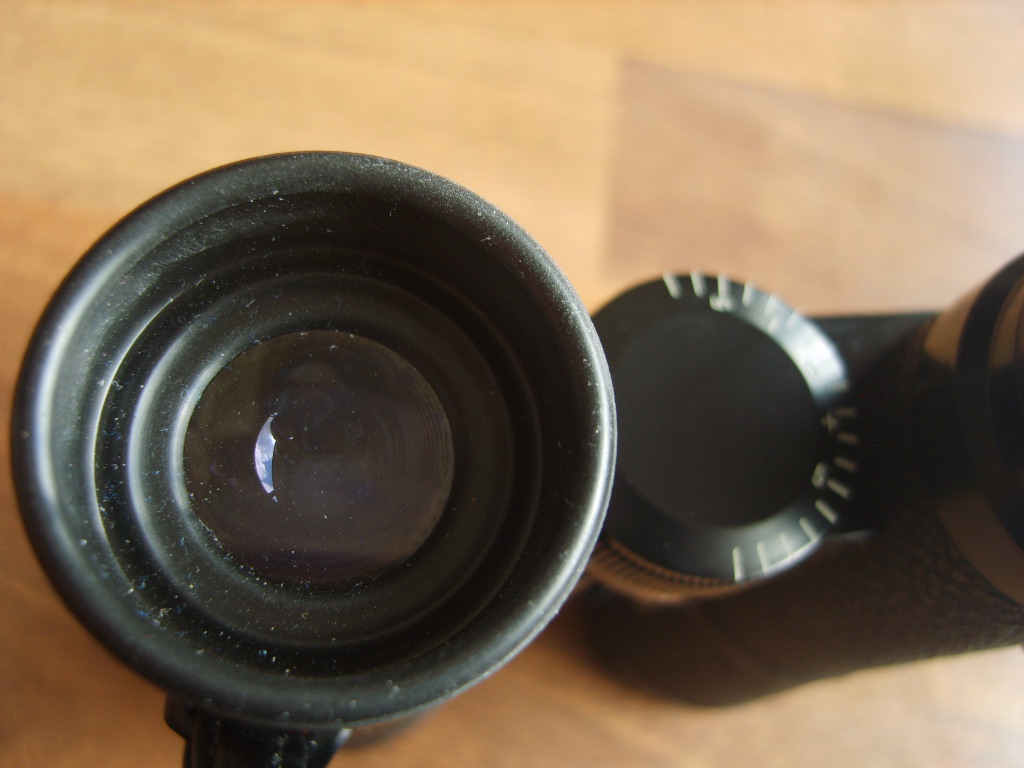 S8000557.JPG
