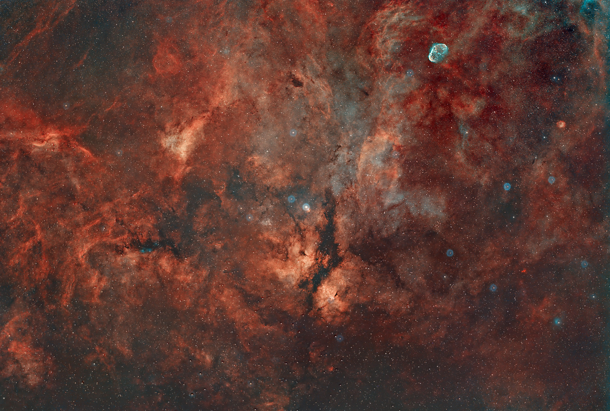 Sadr wide field_0.5x.jpg